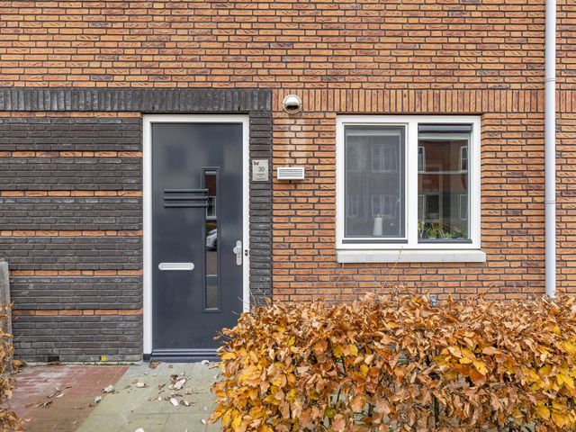 Foto van Vuurvlinder 30