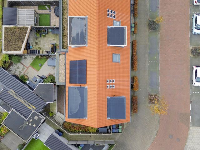 Foto van Vuurvlinder 30