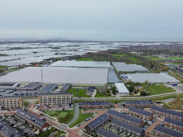 Foto van Vuurvlinder 30
