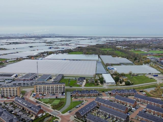 Foto van Vuurvlinder 30