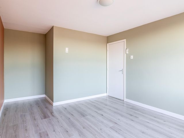 Foto van Paardenstraat 41