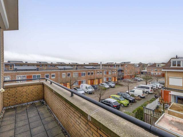 Foto van Karekiet 100