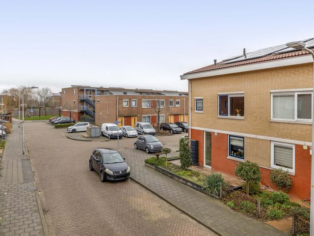 Foto van Karekiet 100