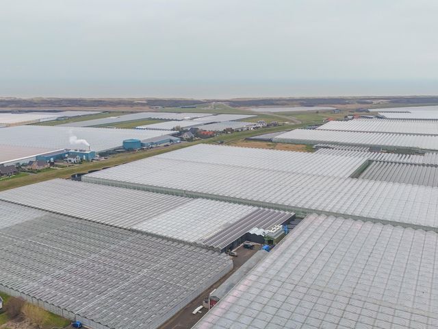 Foto van Zeestraat 96