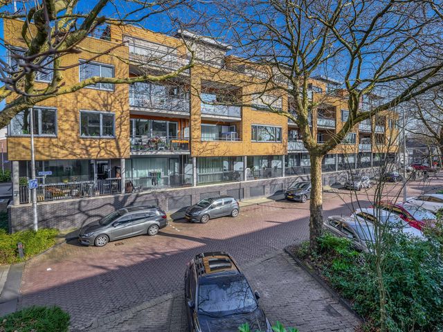 Foto van Populier 44