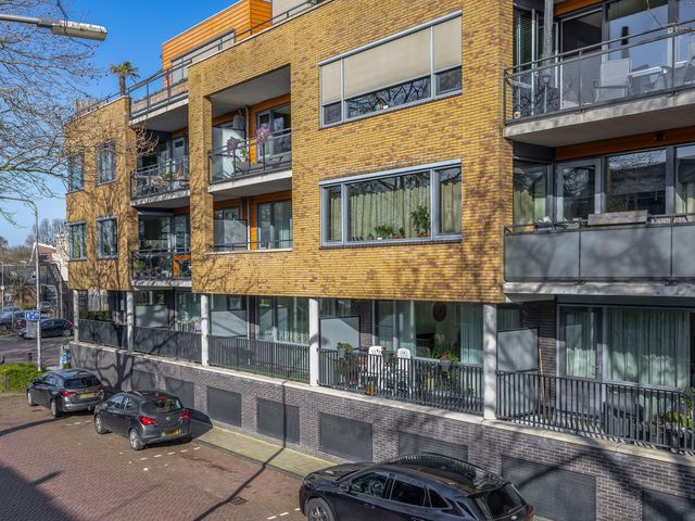 Foto van Populier 44