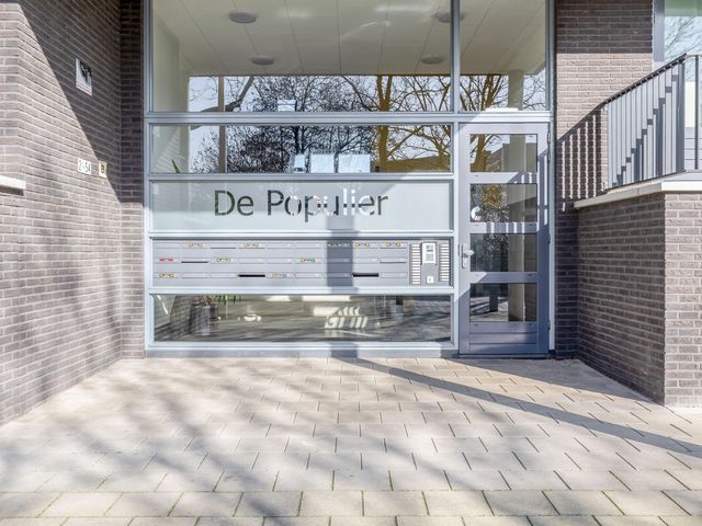 Foto van Populier 44