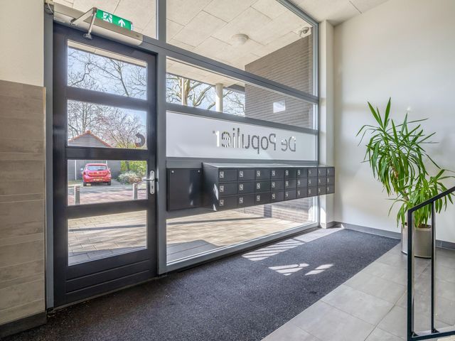 Foto van Populier 44