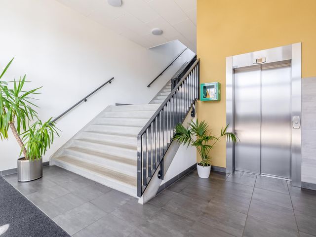 Foto van Populier 44