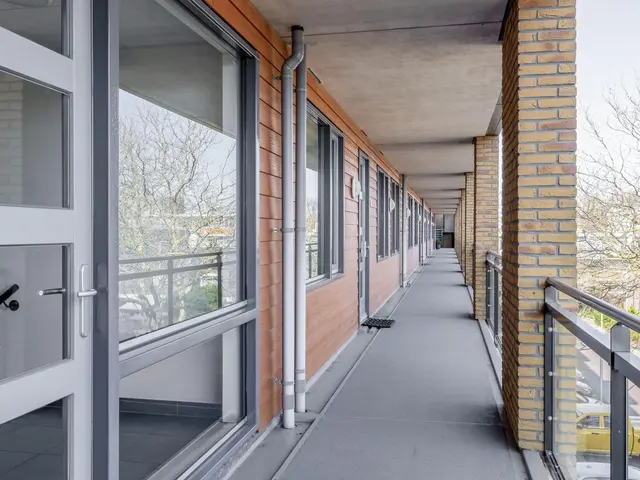 Foto van Populier 44