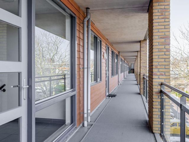 Foto van Populier 44