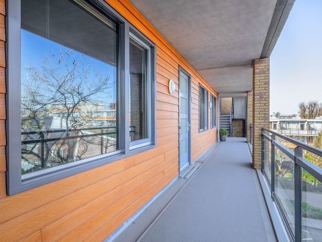 Foto van Populier 44