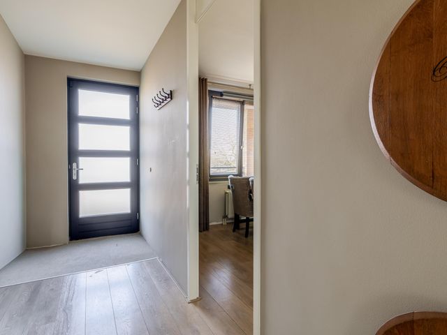 Foto van Populier 44