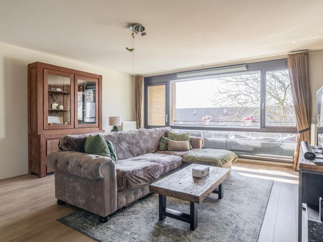 Foto van Populier 44