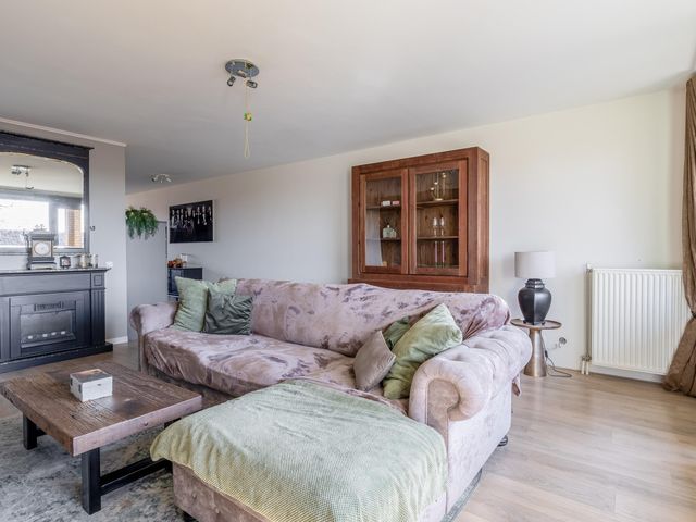 Foto van Populier 44