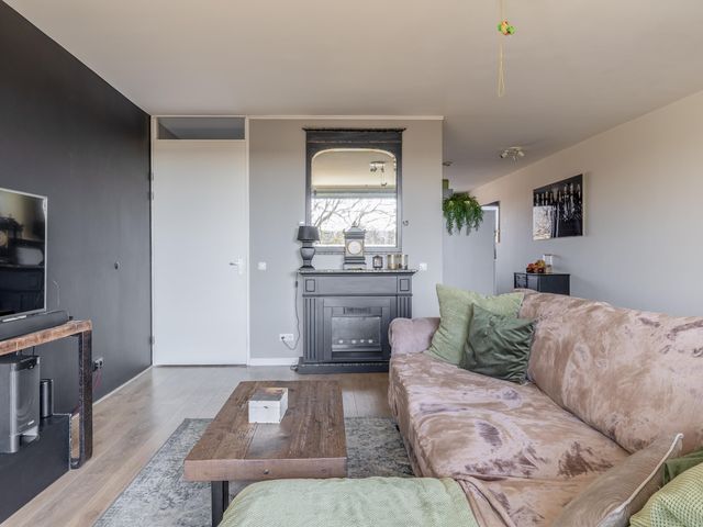 Foto van Populier 44