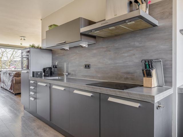 Foto van Populier 44