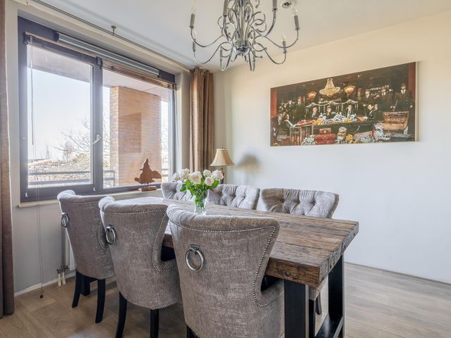 Foto van Populier 44