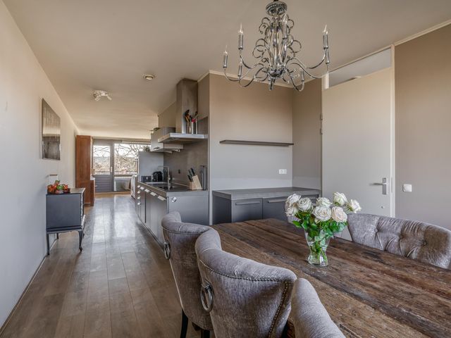 Foto van Populier 44