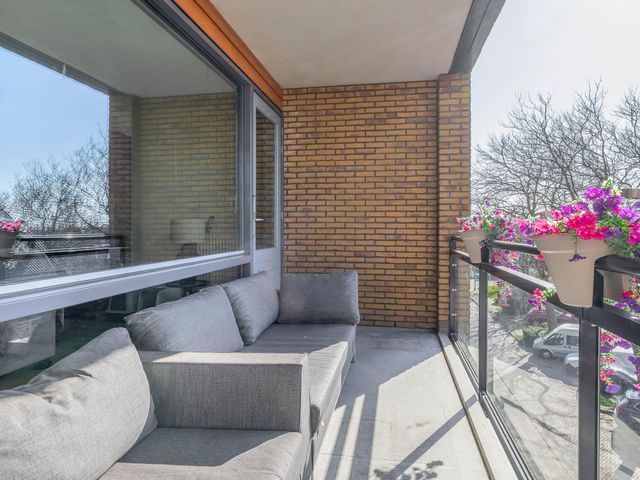 Foto van Populier 44