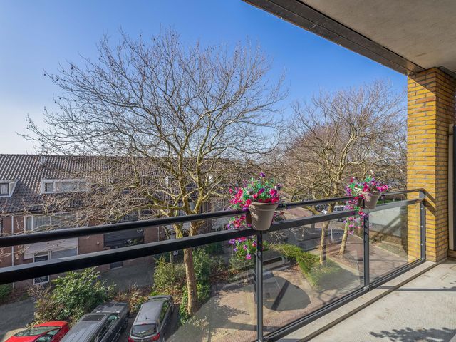 Foto van Populier 44