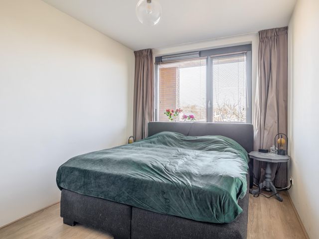 Foto van Populier 44