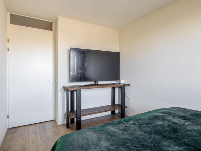 Foto van Populier 44