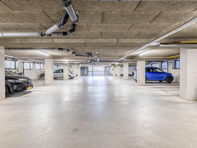 Foto van Populier 44