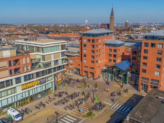 Foto van Populier 44