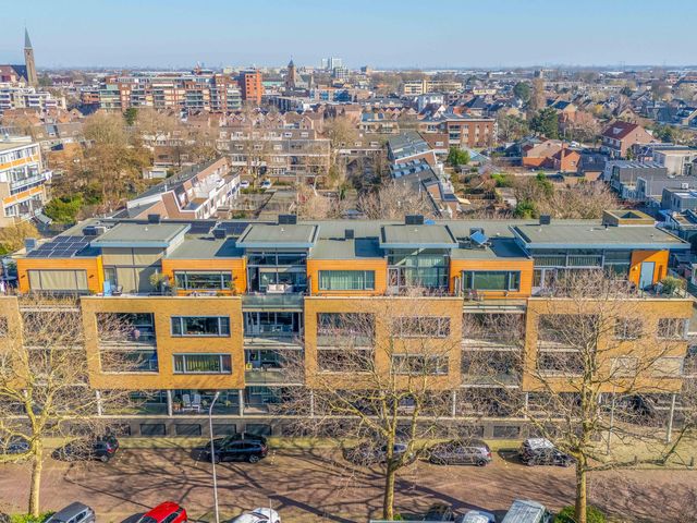 Foto van Populier 44