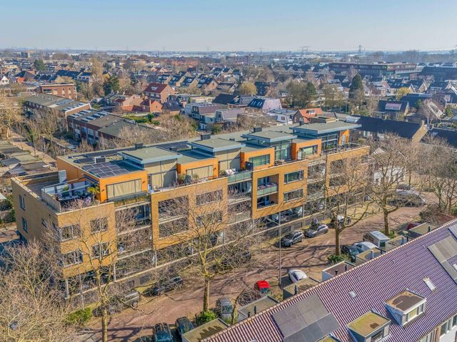 Foto van Populier 44