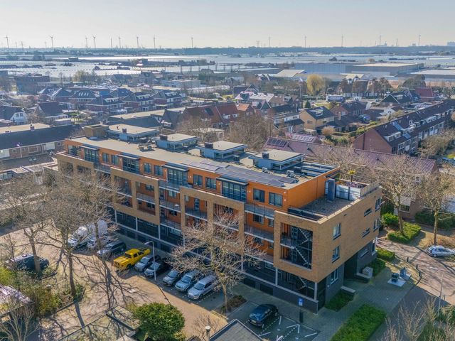 Foto van Populier 44