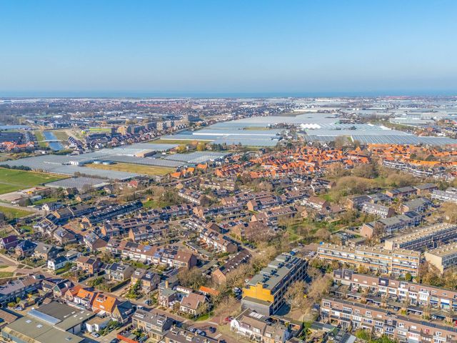 Foto van Populier 44