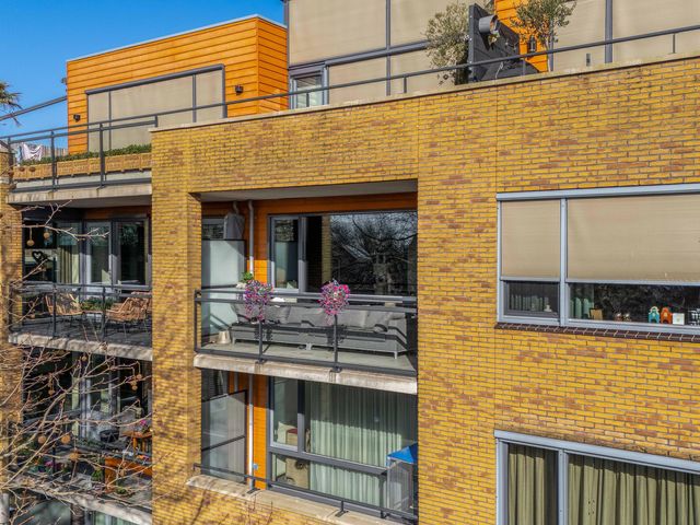 Foto van Populier 44