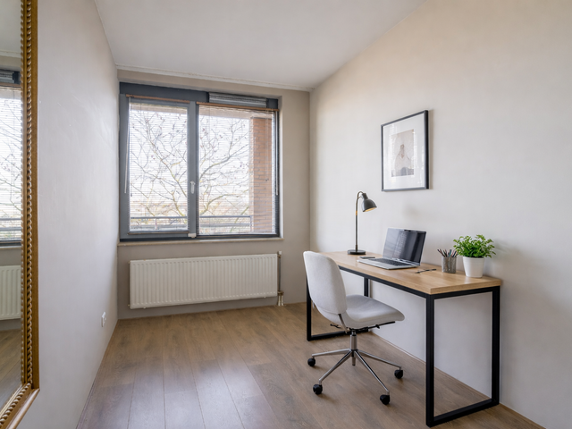 Foto van Populier 44