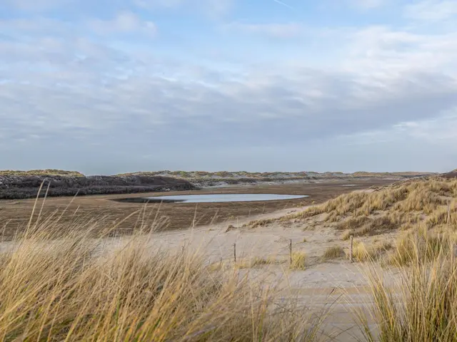 Foto van Noordwind 20