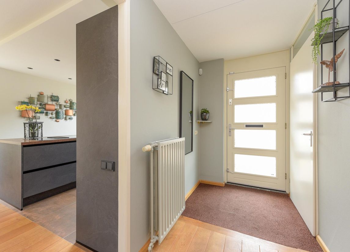 Reiger 28