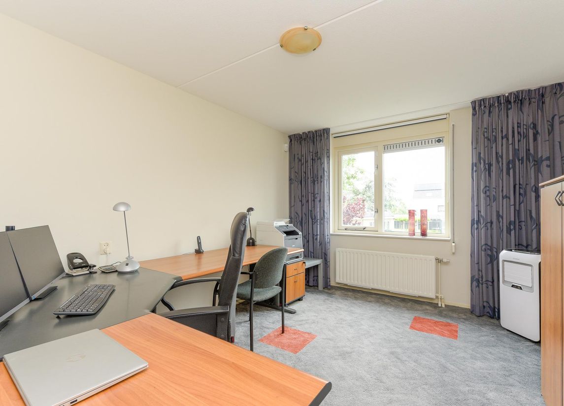 Reiger 28