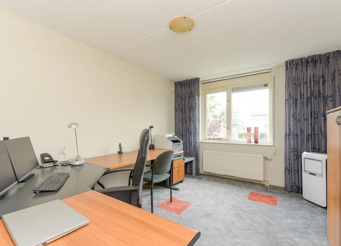 Reiger 28