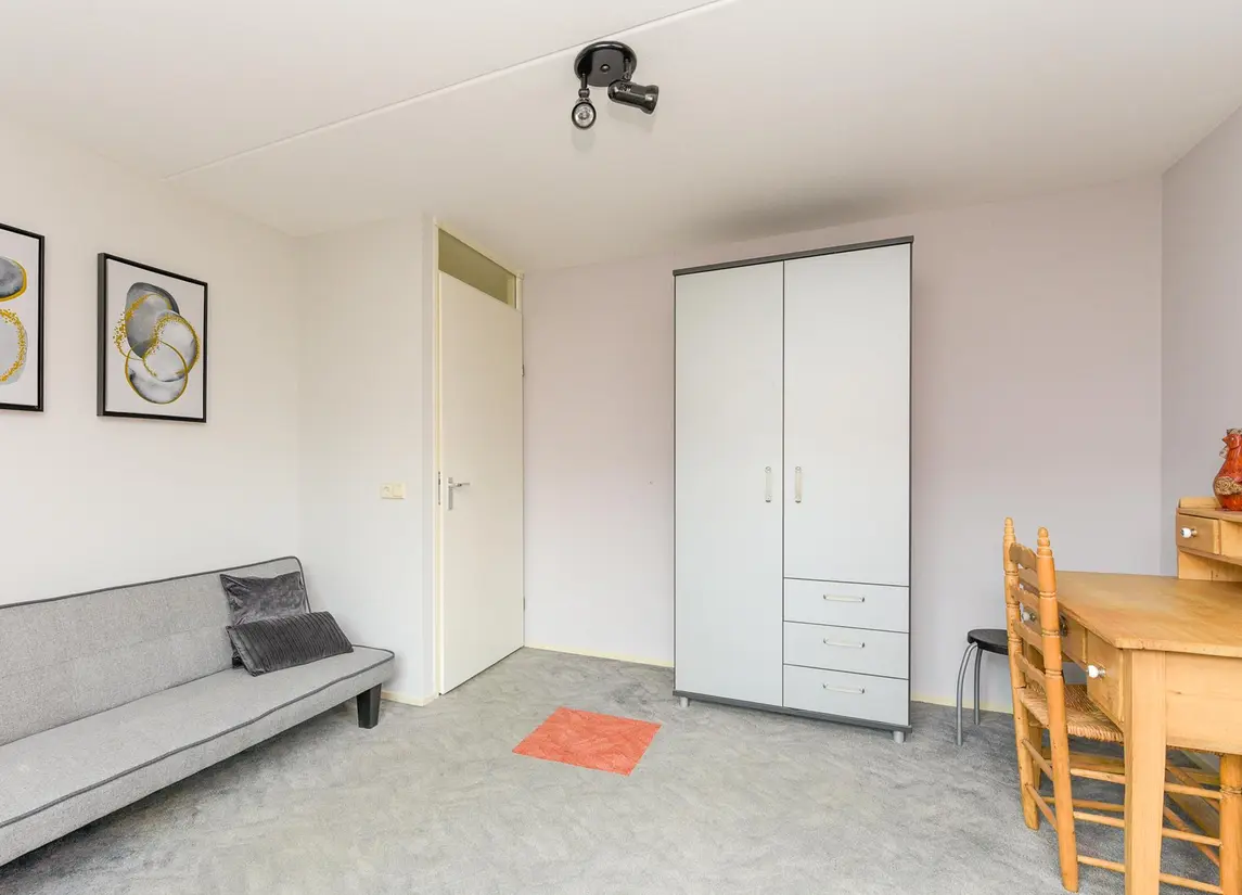 Reiger 28