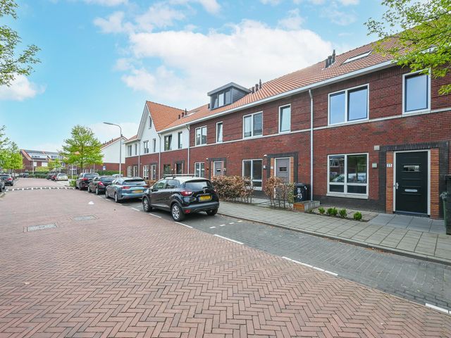 Foto van Citroenvlinder 25
