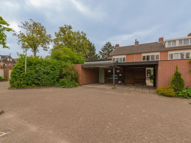 Foto van Heliotroop 81