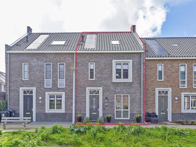 Foto van Boommarter 3