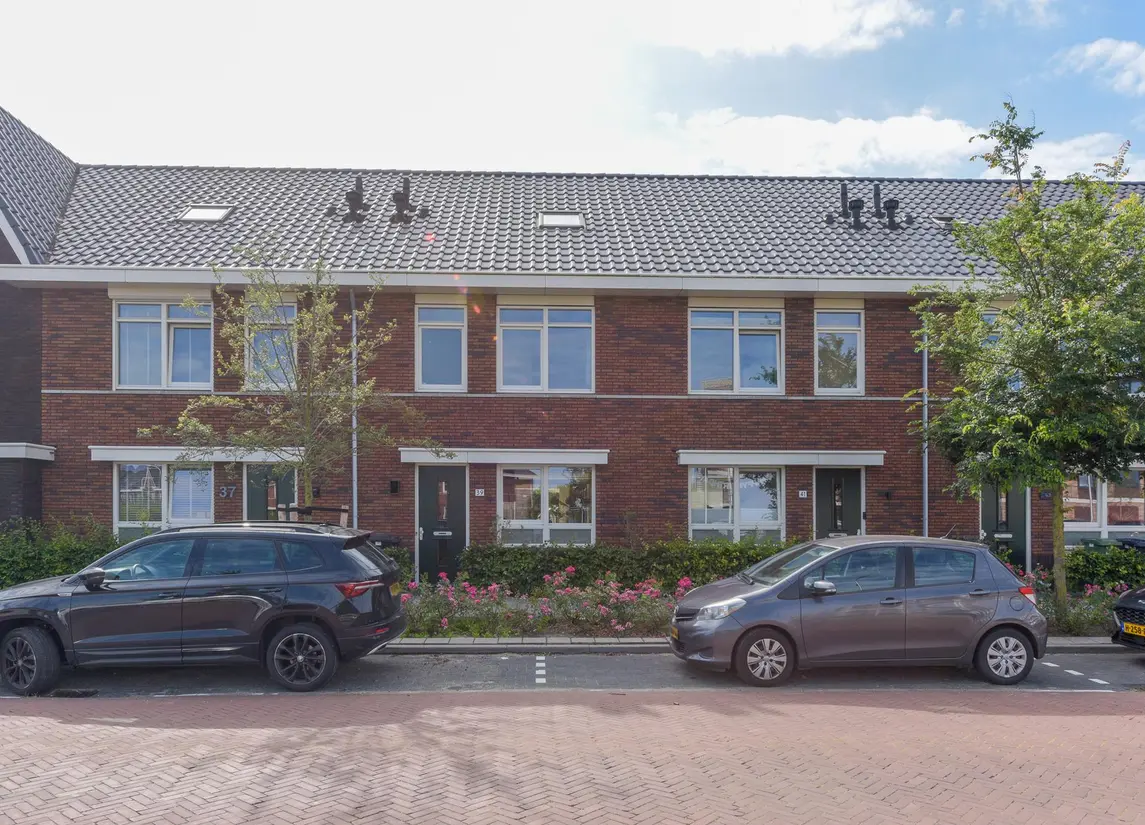 Grote vos 39