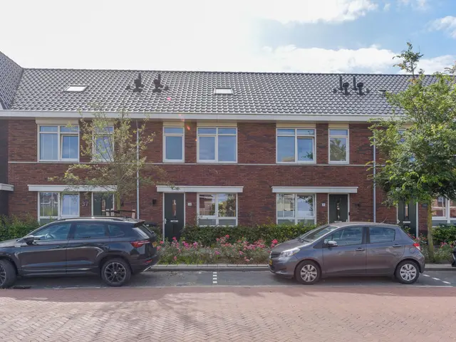 Foto van Grote vos 39