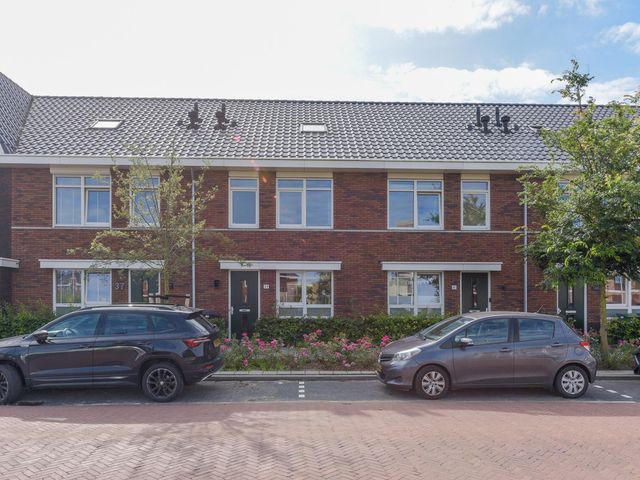 Foto van Grote vos 39