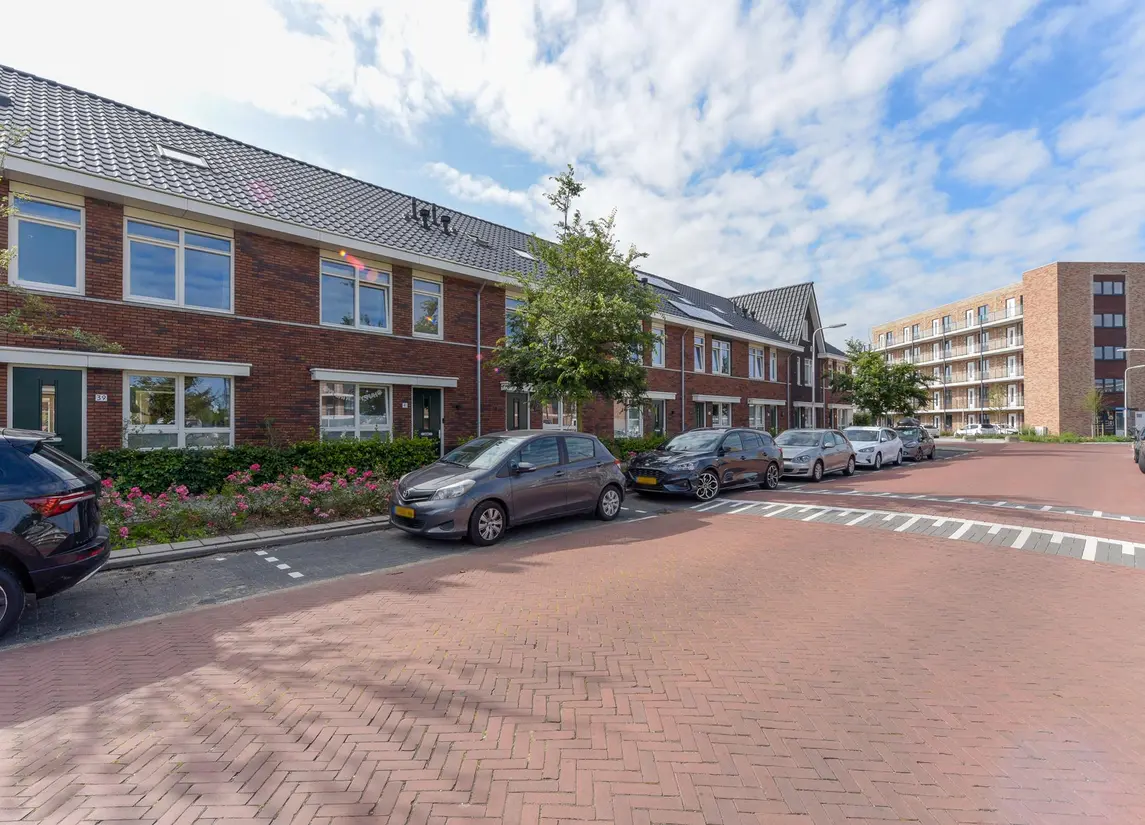 Grote vos 39