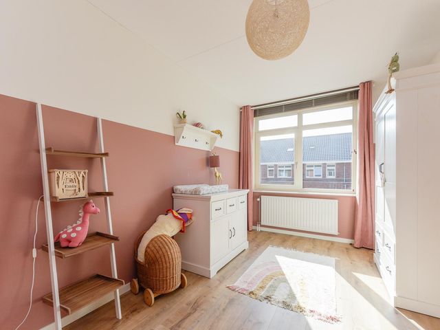 Foto van Grote vos 39