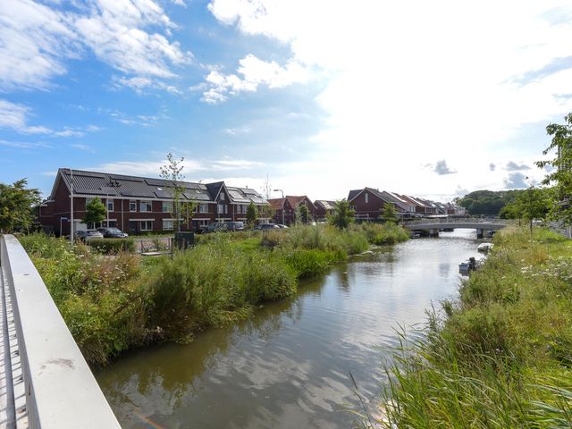 Foto van Grote vos 39