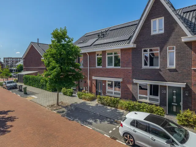 Foto van Citroenvlinder 32